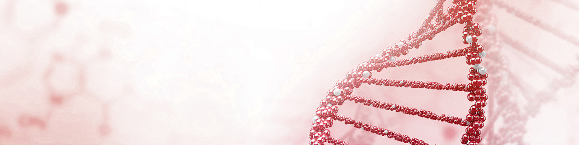 Disease Library Banner